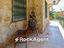 Immagine 28