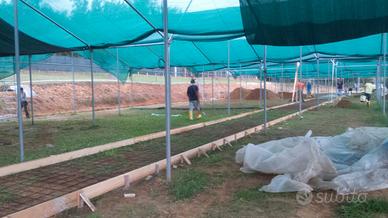 Tubolari in acciaio zincati per strutture agricole