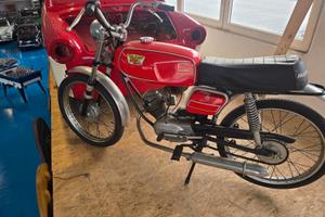 MOTO MORINI CORSARINO 50