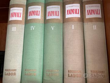 Enciclopedia degli animali