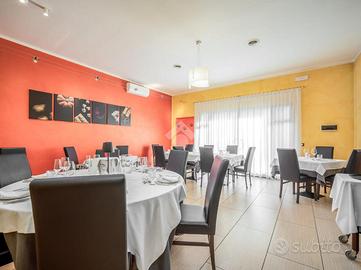 ATTIVITÀ A REGGIO NELL'EMILIA