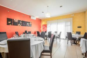 ATTIVITÀ A REGGIO NELL'EMILIA