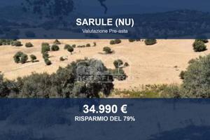 Immobile in asta di 257589 m² a Sarule