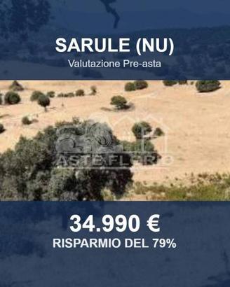 Immobile in asta di 257589 m² a Sarule