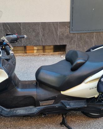 Suzuky Burgmann 650 Executive