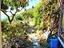 Immagine 23