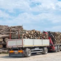 Rimorchio bilaterale paganini