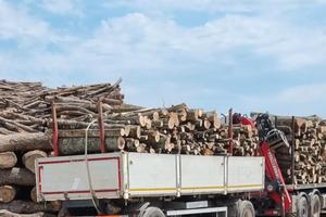 Rimorchio bilaterale paganini