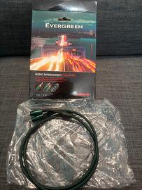 Audioquest cavo jack rca evergreen