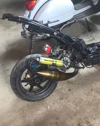 Team 3 malossi piaggio