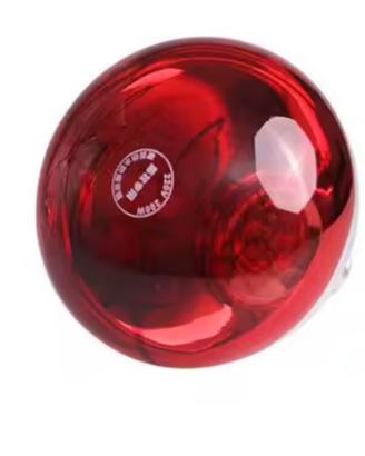 Lampadina riscaldante