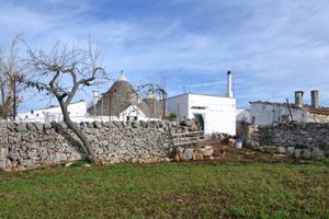 Rustico a Putignano, 11 locali