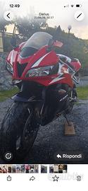 HONDA CBR 600 RR