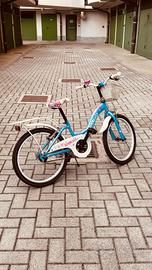 Bicicletta bambina 5-10 anni