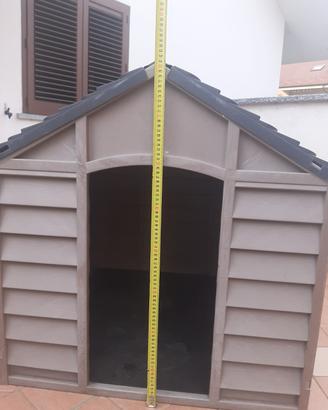 cuccia per cani