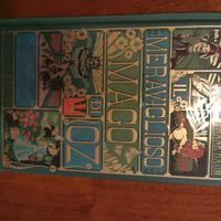 Il meraviglioso mago di Oz minalima