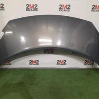 COFANO ANTERIORE RENAULT Scenic Serie 7751474289 (