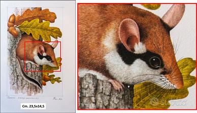 Stampe di Franco Testa - (Compagni invisibili)