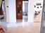 Immagine 18