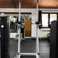 Panatta Stazione Trazioni & Dip