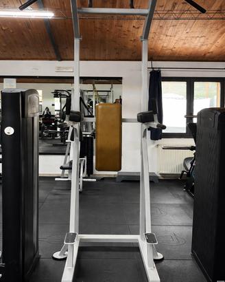 Panatta Stazione Trazioni & Dip