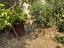 Immagine 27