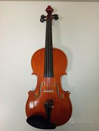 Violino