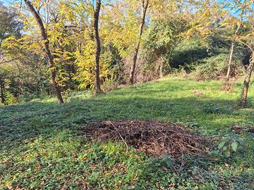 Terreno agricolo