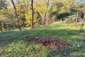 Terreno agricolo