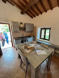 Casa arredata con camino e travi a vista - Nocera