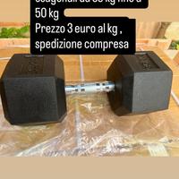 ATTREZZATURA PALESTARA E HOMEGYM