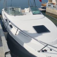 Barca Chaparral modello SIGNATURE 240 perfetta