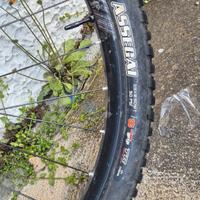 Maxxis DHF-Assegai 2.5", Galfer Wave 6 fori