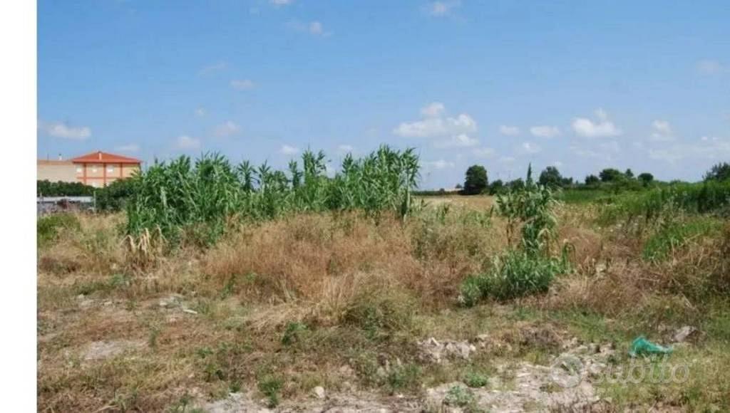 Immobile in asta di 200 m² a Lesina - Vista 2