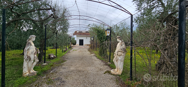 Casa indipendente con terreno