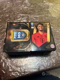 Set completo di figurine panini fifa 365 2025