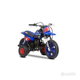 Yamaha pw rotelle kit