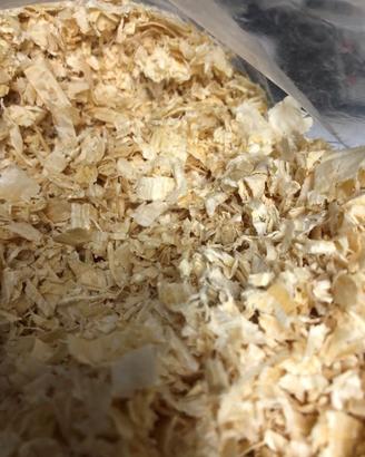 Truciolo per lettiera animali domestici