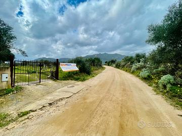 Terreno agricolo di 2000 metri quadri