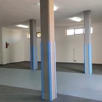 Locale commerciale/artigianale