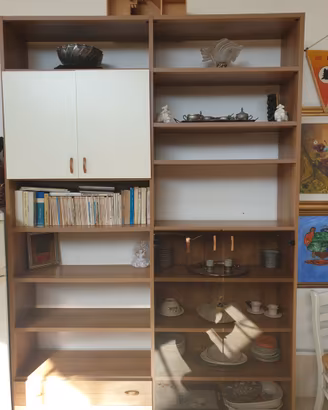 Libreria con vetrina