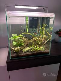 Acquario AQPET 50 litri modello Kubic