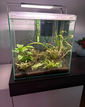 Acquario AQPET 50 litri modello Kubic