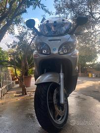 Motociclo Piaggio