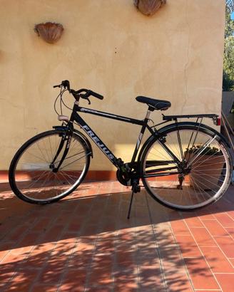bicicletta FREJUS STORM