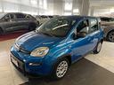 fiat-panda-1-0-firefly-s-s-hybrid-5-posti-sensori
