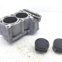 CILINDRO CON PISTONI YAMAHA T-MAX XP 500 2008 SJ06