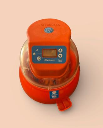 Incubatrice Novital 16L