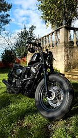 Harley Davidson Forty Eight XL1200L