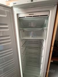 Congelatore Freezer verticale LIEBHERR